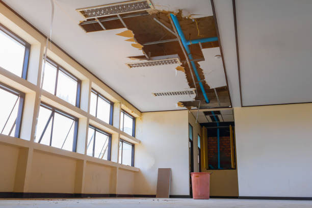 Brilliant, AL Water damage restoration Company